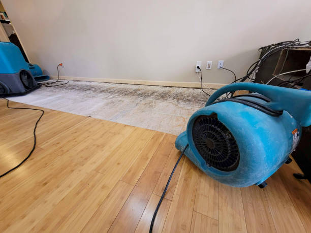 Professional Water Removal technician working in Corea, ME